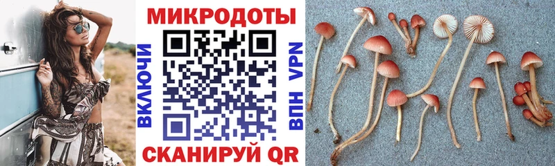 Галлюциногенные грибы ЛСД  Богородицк 
